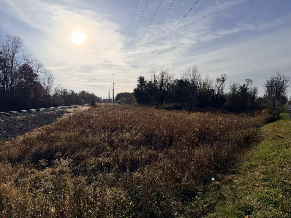 $10 Billion Holt Data Center Proposal Blindsides Delhi Township