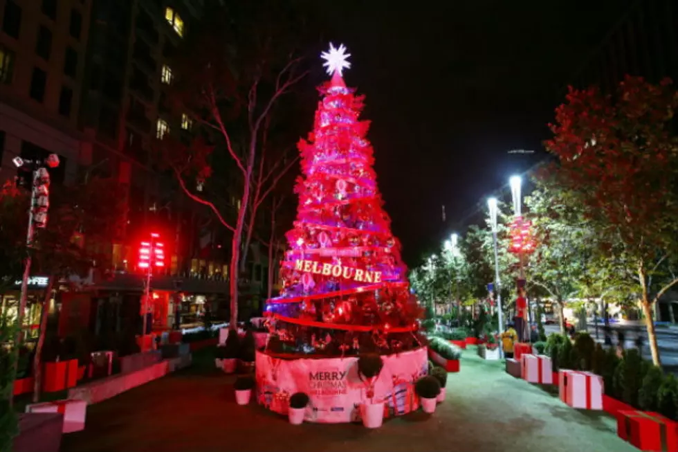 Christmas Tree Prices May Rise Due To Shortages