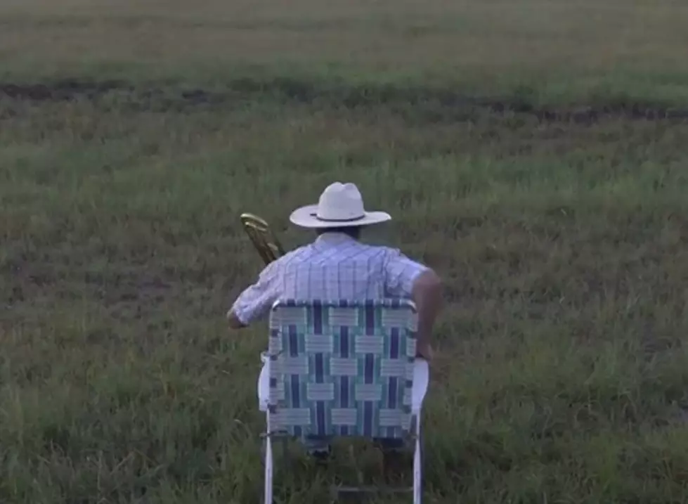 Trombone Tuesday: Watch What These Cows Do When the Farmer Plays His Trombone [VIDEO]