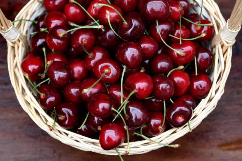 East Lansing Farmer&#8217;s Market Opening