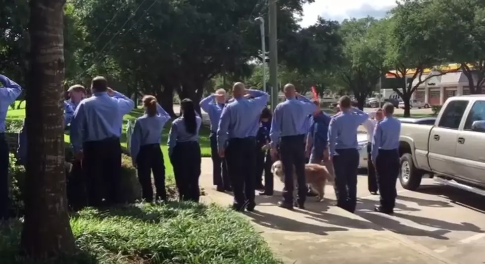Last Surviving 9/11 Search and Rescue Dog Gets Hero&#8217;s Salute On Final Walk Into Vet