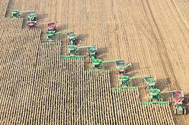 Farmers Unite to Finish Harvest of Grand Ledge Land After Owner Passes Away