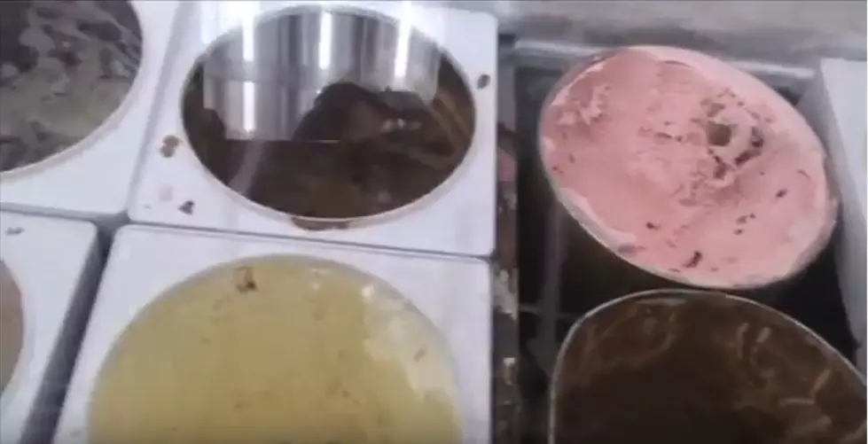 Lansing-Area Ice Cream Shop Named a Nation’s Best