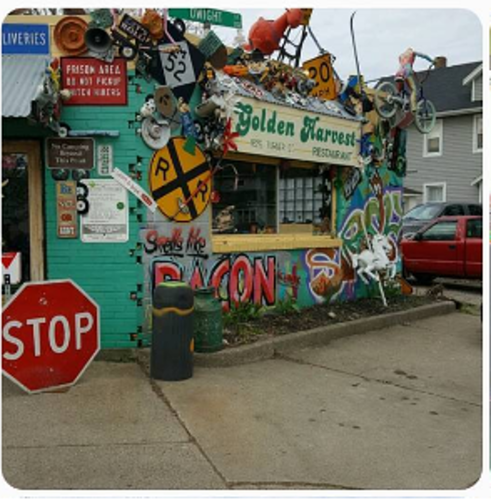Quirky Places In The Mid-Michigan Area