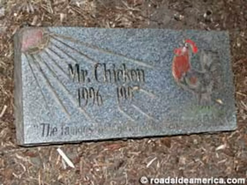 Weird Events That Happened in Michigan: Mr. Chicken