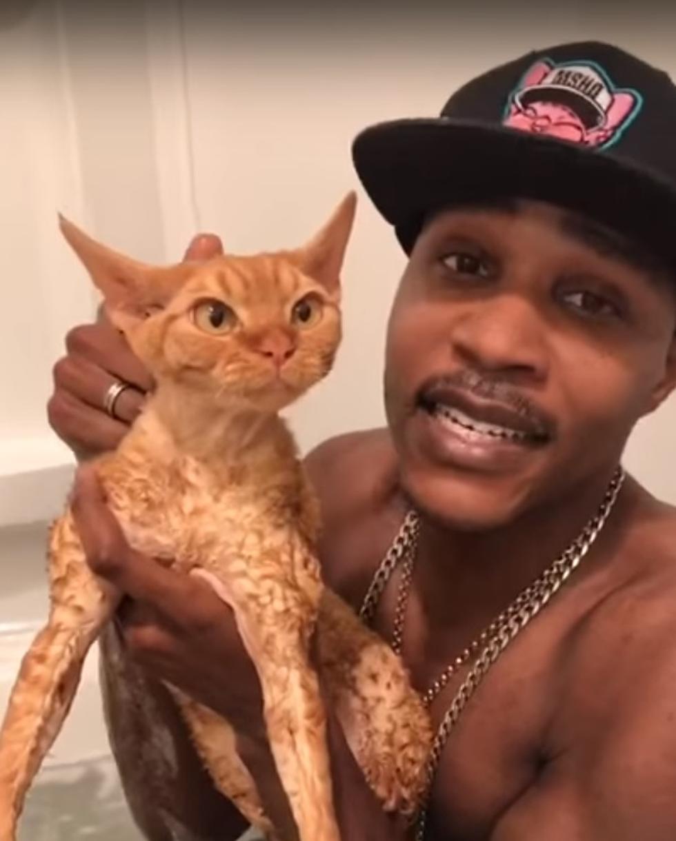 VIDEO: Crazy Cat Lady? Nope! Cat Rapper!