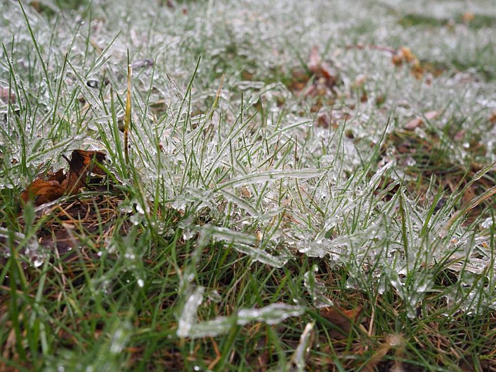 PHOTOS: Ice Storm Freezes Lansing Area, Leaves Thousands Without Power
