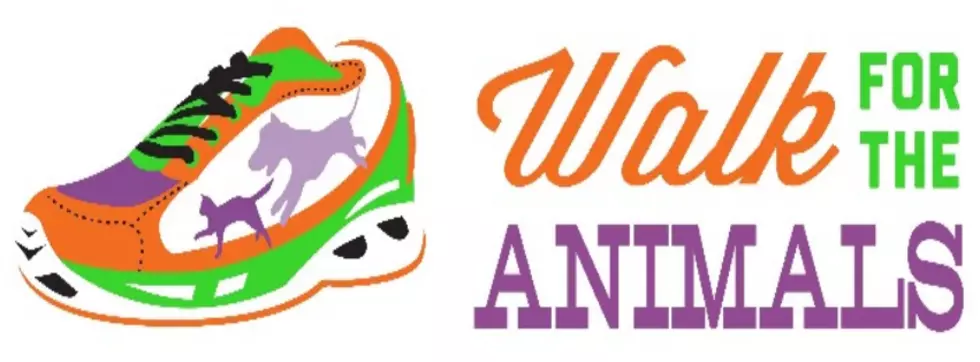 https://cahs-lansing.donorpages.com/WFTA2018/