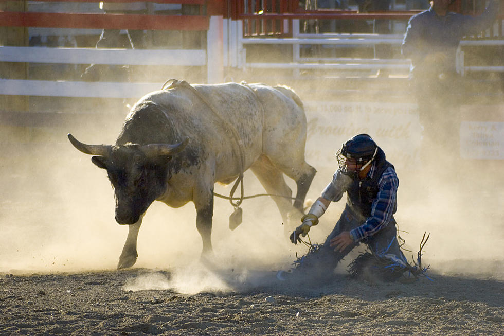 Video: It's Called Cowboy Pinball, It's Real & It's Insane