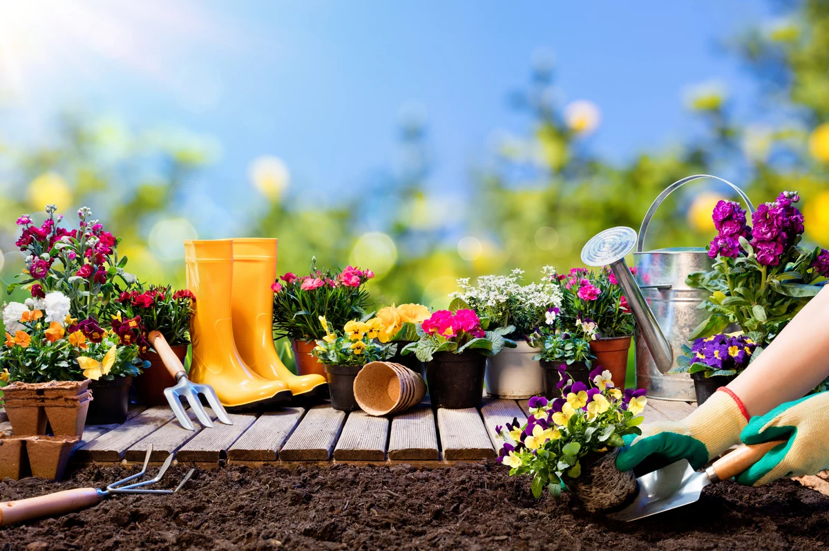 Michigan State Offers Online Gardening Classes