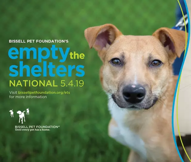 Adopt Lansing This Saturday &#038; Empty The Shelters