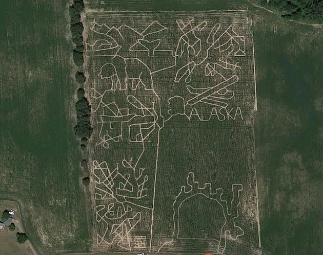 Designing a 2020 Themed Corn Maze, What Would It Look Like?