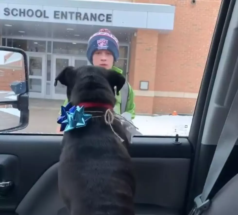 VIDEO: A Boy & His Dog Reunited (Grab A Kleenex)