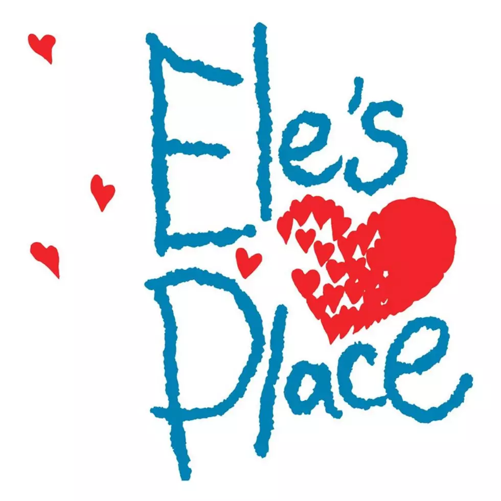 Ele’s Place Still Helping Grieving Kids/Teens In Lansing Area