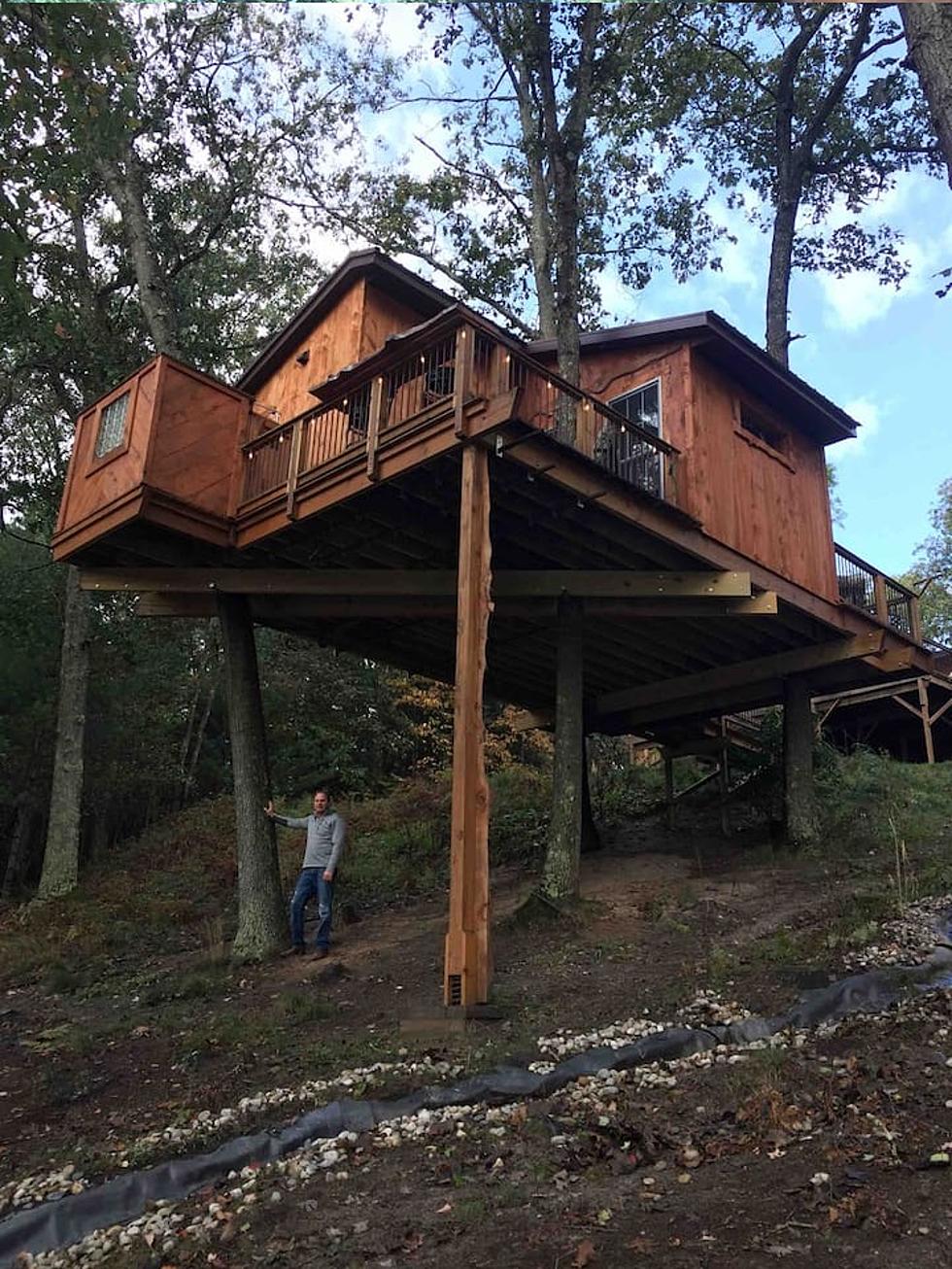 You Can Rent This Treehouse in Michigan For a Relaxing Summer Vacation