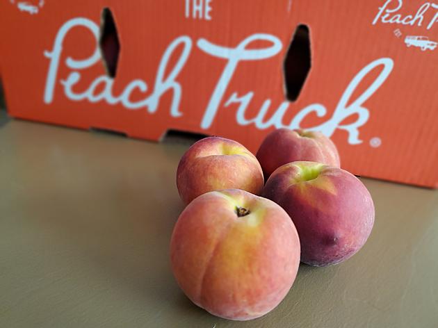 Photos: The Peach Truck @ Van Atta&#8217;s, July 5th, 2020