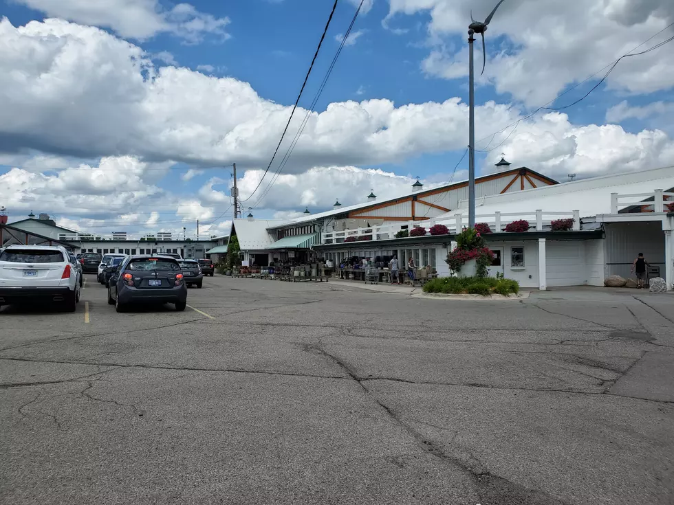 Photos: Horrocks Farm Market Is Beyond Ridiculously Huge