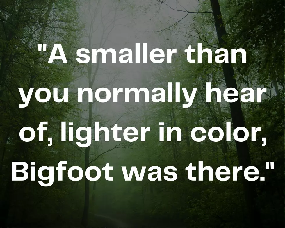 KUOW - Did you know?: Why you shouldn't mess with Bigfoot in