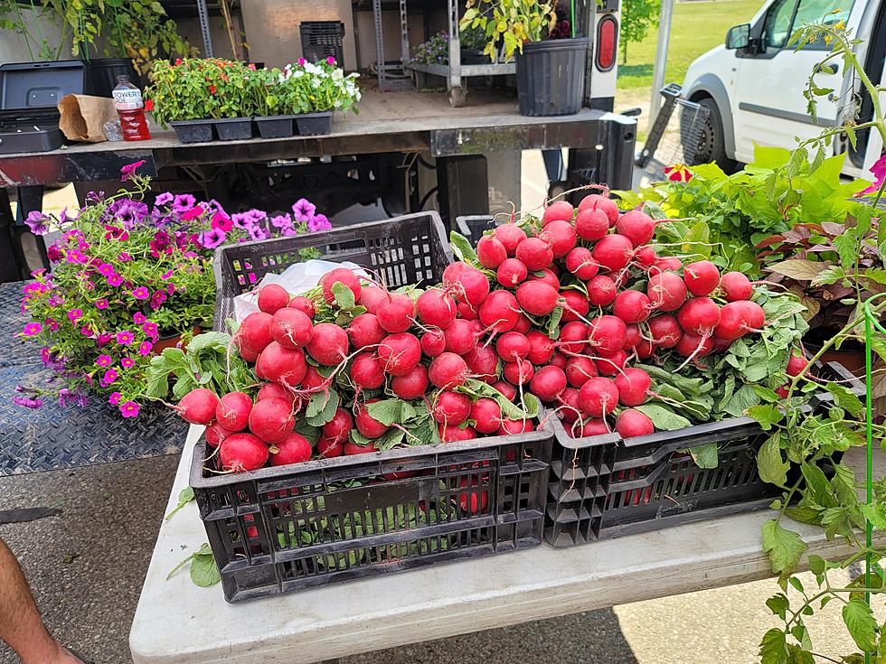 GALLERY: East Lansing Farmers Market, Sundays 10a-2p Thru October