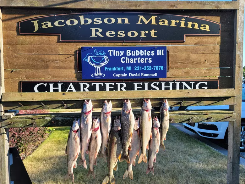 Public comment - FinAddict Charter Fishing-Lake Michigan