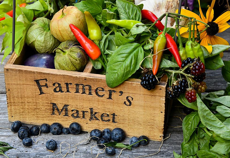 Nothing Like Sunday Morning At The East Lansing Farmer&#8217;s Market