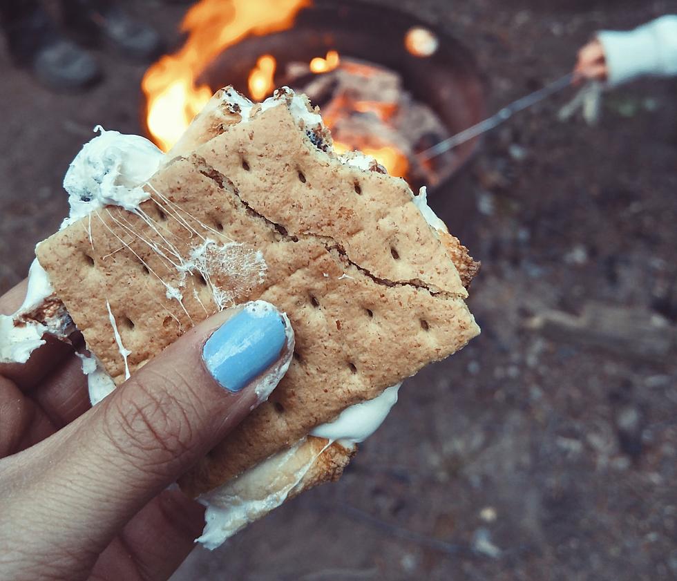 Girl Scouts, A Campfire, and Smores &#8211; What Could Be More Fun and Free?