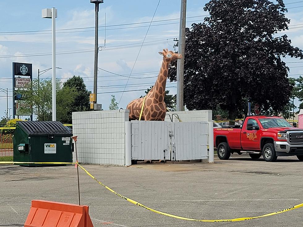 You Move ONE Giraffe And A Whole City Loses Its Mind