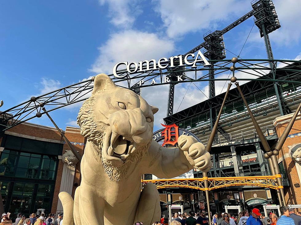 It Took 25 Years For This Lifelong Michigander to Get to a Tigers Game