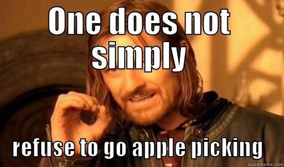 One does not simply establish a wireless link - One Does Not Simply -  quickmeme