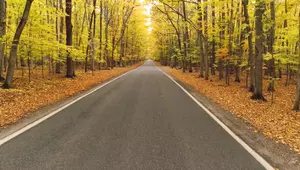 What Makes Michigan&#8217;s Tunnel of Trees So Special? Show Us Your Pics