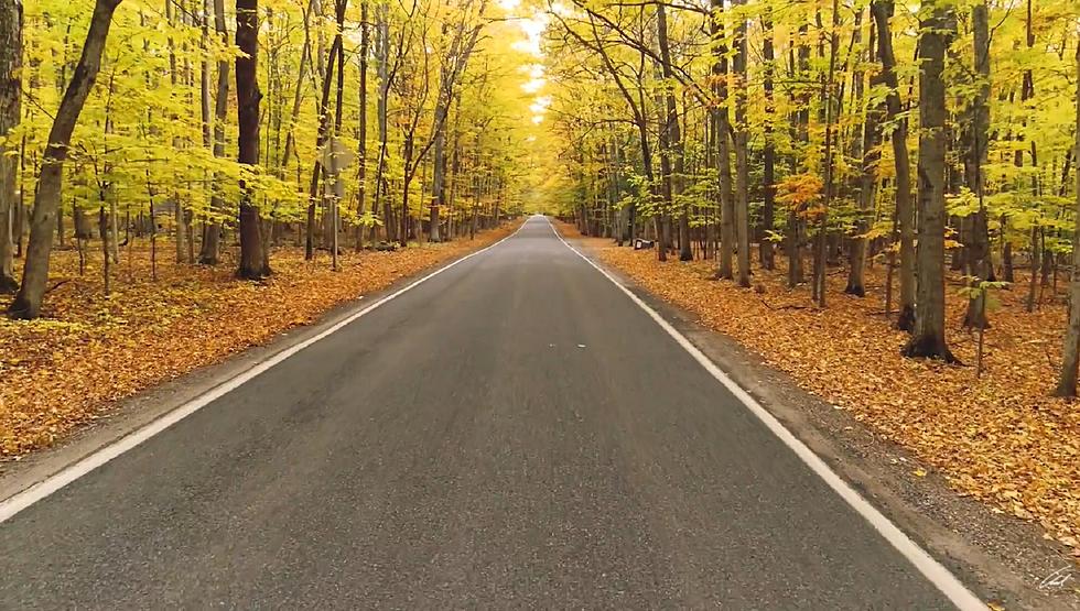 What Makes Michigan’s Tunnel of Trees So Special? Show Us Your Pics