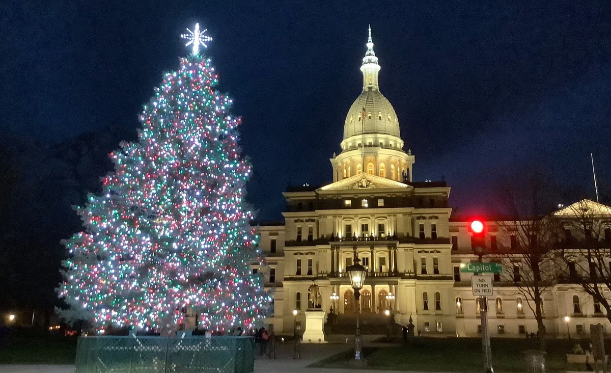How MI's State Christmas Tree Goes From Wilderness to the Capitol