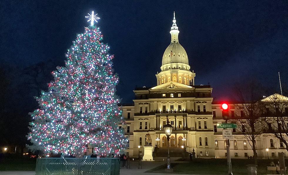 How Michigan&#8217;s State Christmas Tree Goes From the Wilderness to the Capitol