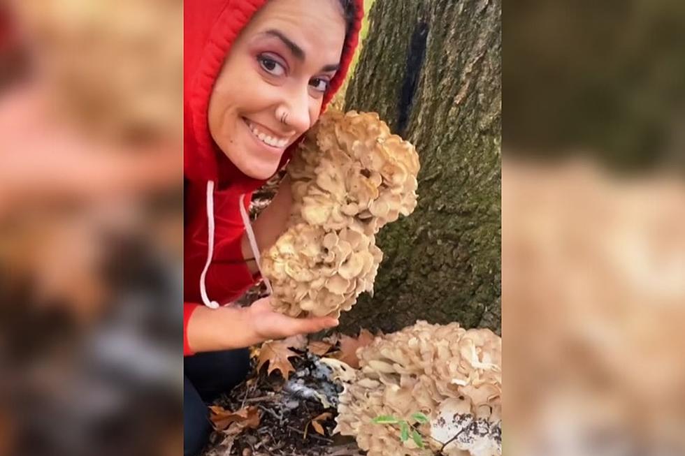 Meet The Michigan Forager Taking Over The Mushroom Side of TikTok