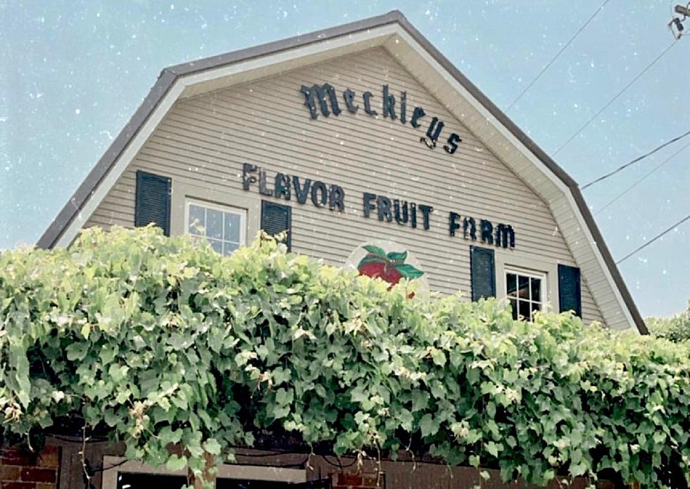 Meckley’s Flavor Fruit Farm: A Somerset Township, Michigan Gem Since 1956