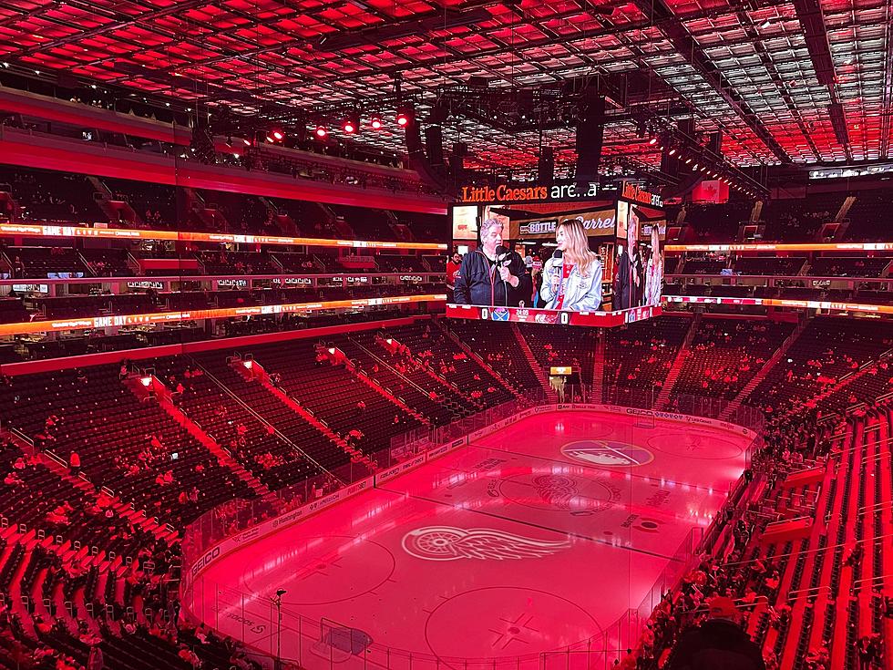 Everything' Red Wings need is at Little Caesars Arena
