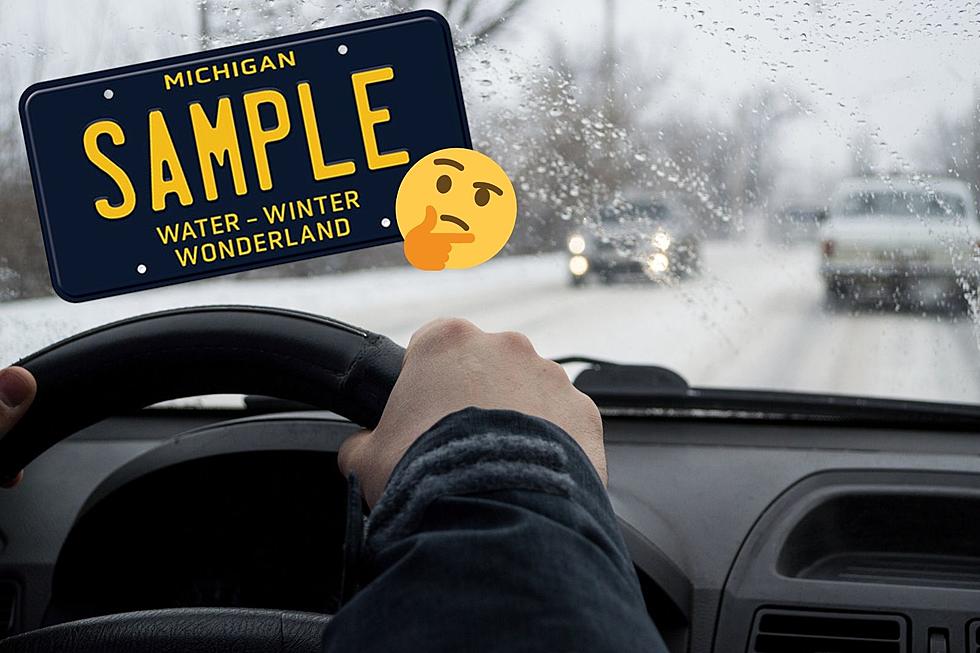 Seeing More of These Michigan License Plates? Here&#8217;s How to Get One