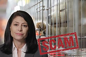 Michigan AG Dana Nessel on How to Avoid Surging Puppy Scams