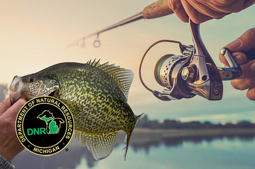 How to Make the Most of Your 2022 Michigan Fishing License