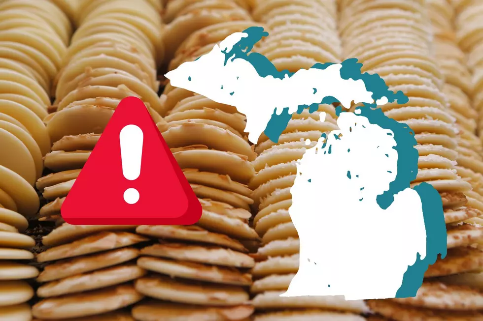 Alert: Popular Food In Michigan Found To Have Harmful Chemicals