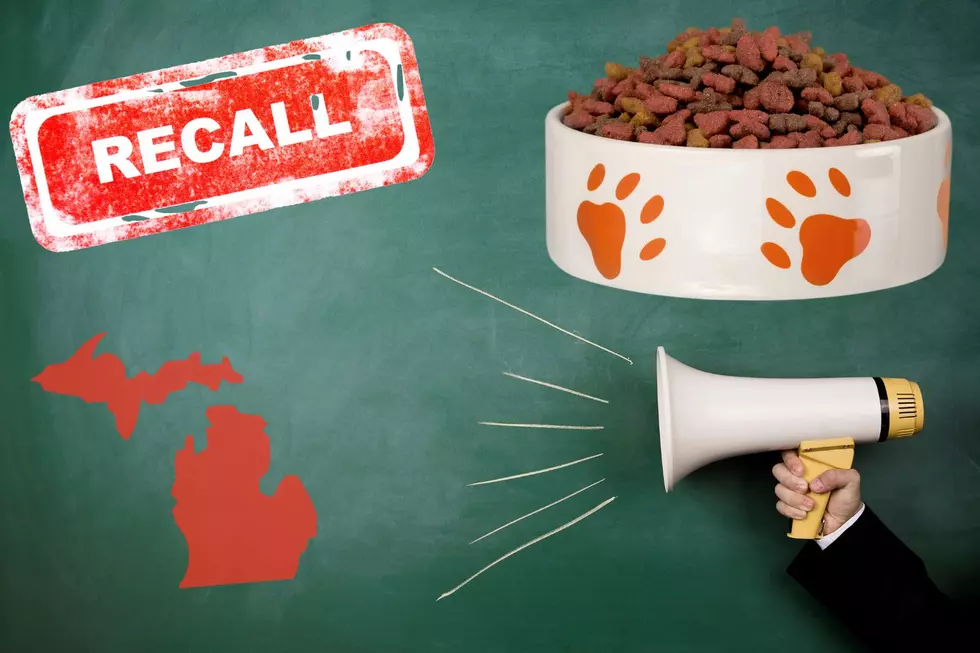 Warning: Recall Alert For Dog Treats Sold in Michigan