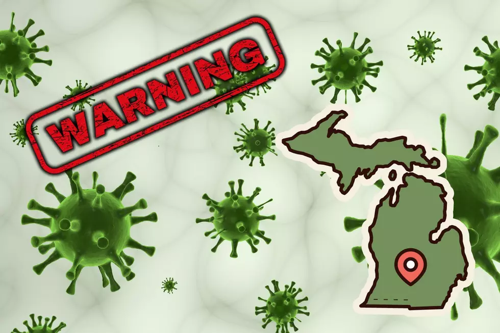 Officials Warn Deadly Virus Confirmed in Several Michigan Counties