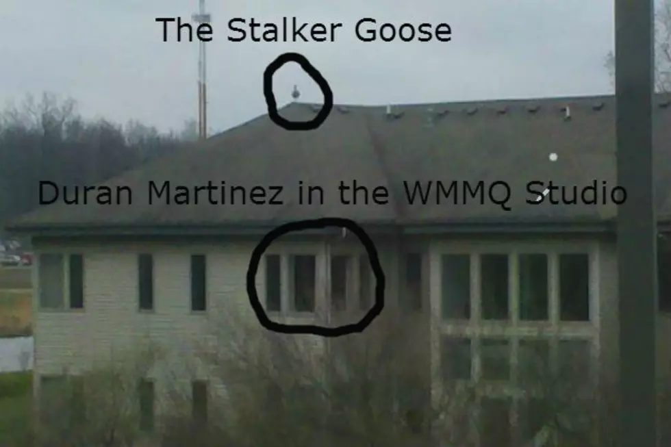 Creepy Goose Stalks Duran Martinez