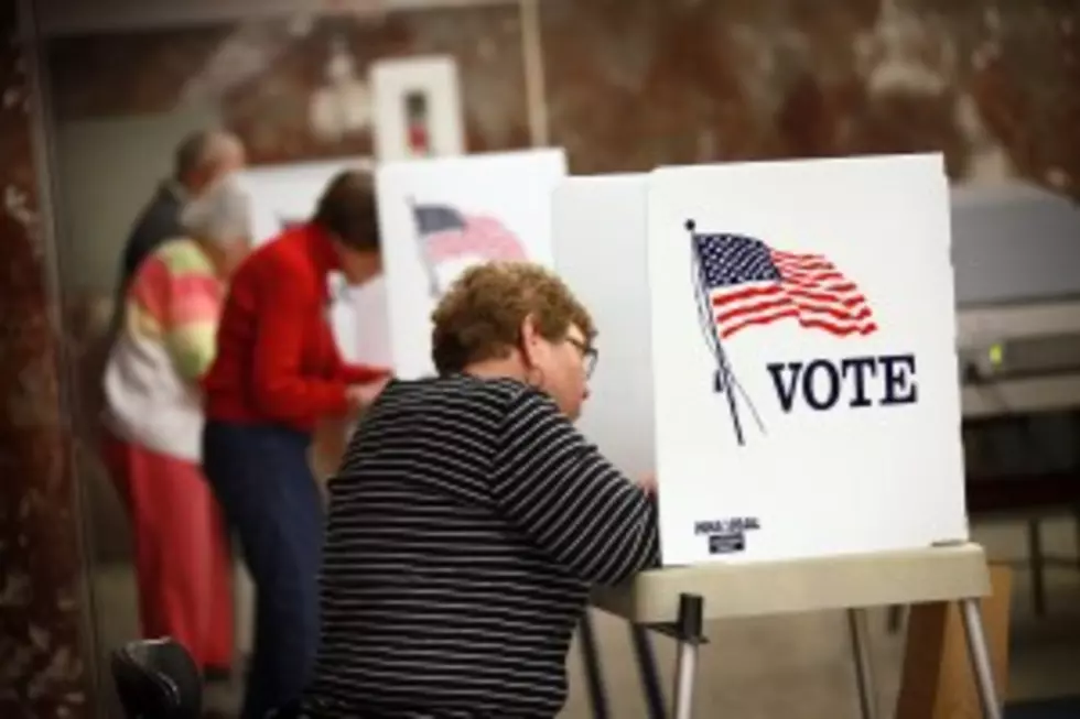Election 2014: What Mid-Michigan Voters Need To Know