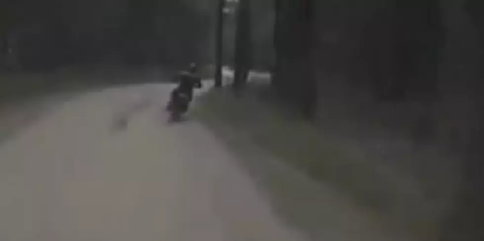 Dirtbike vs Bear in Baldwin, Michigan