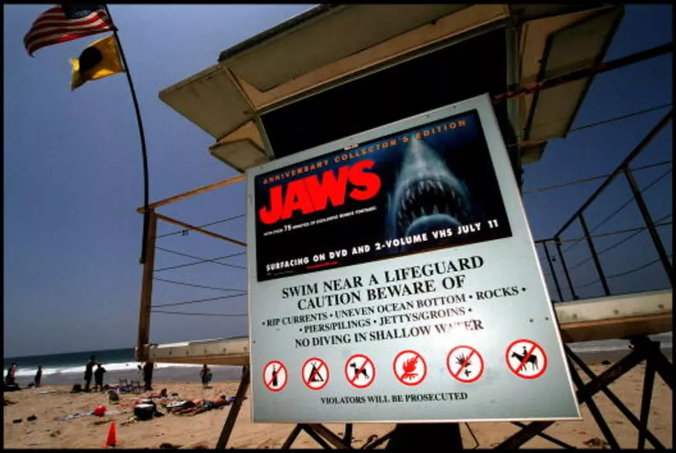 Would You Watch “Jaws” While Floating in Water?