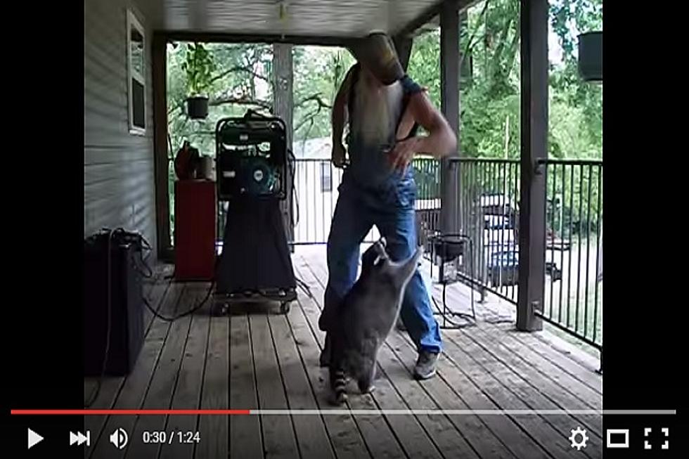 This is Classic: Redneck Raccoon Dance Party