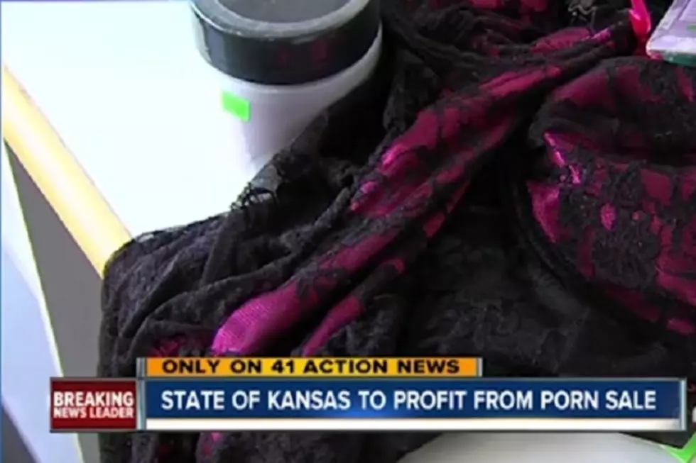 State of Kansas Sells Porn to Get Out of Massive Debt