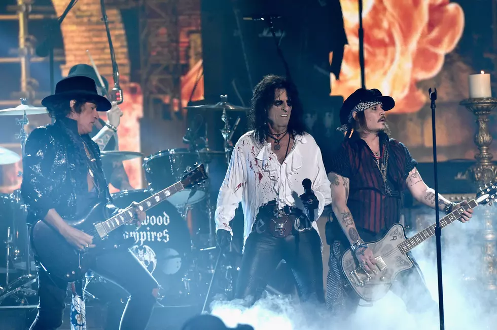 Supergroup Hollywood Vampires Book Michigan Show