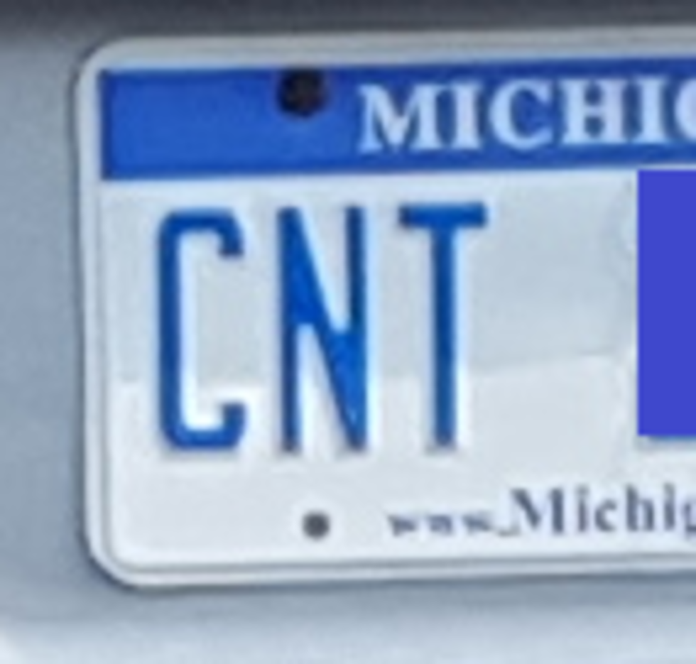 Worst Michigan License Plate Ever?